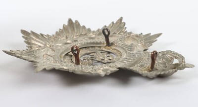 The Norfolk Rifle Volunteers Home Service Helmet Plate. - 4
