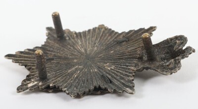 1st Volunteer Battalion The Royal Berkshire Regiment Pouch Badge. - 4