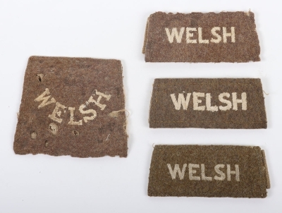 4x Variations of WW1 Welsh Regiment Slip-on Shoulder Titles