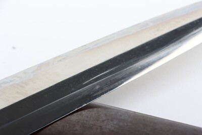 Third Reich SA (Sturmabteilung) Dress Dagger by Tiger, Solingen, - 20
