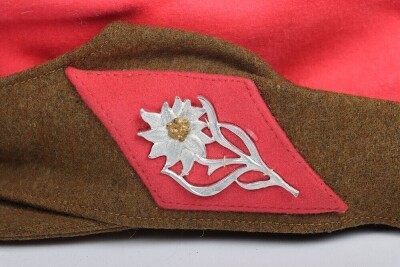 Third Reich SA (Sturmabteilung) Field Cap for Gau Sudmark - 5