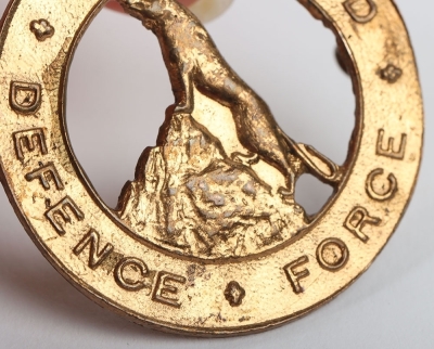 Nyasaland Defence Force Cap Badge - 5