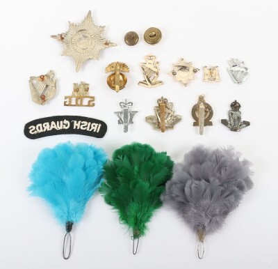 Grouping of Irish Regiments Badges and Insignia - 2