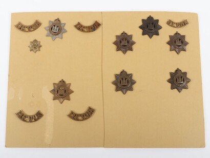 Grouping of Military Badges to the Devonshire Regiment