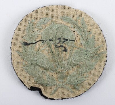 Rare Parachute Jump Instructors Sleeve Badge - 2