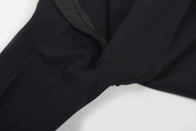 Hussars Officers Full Dress Trousers. - 5