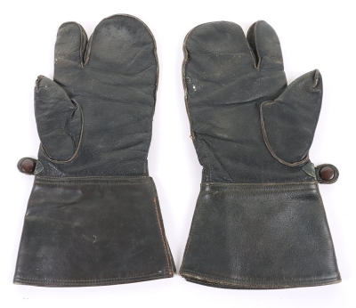 Luftwaffe Mittens - 2