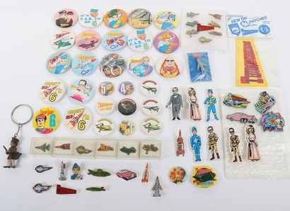 A Collection of Vintage & Modern Gerry Anderson Thunderbirds Badges