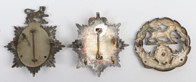 Hampshire and Royal Hampshire Regiment Officers Cap Badges - 2