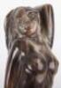 A fine silver and horn walking stick - 4