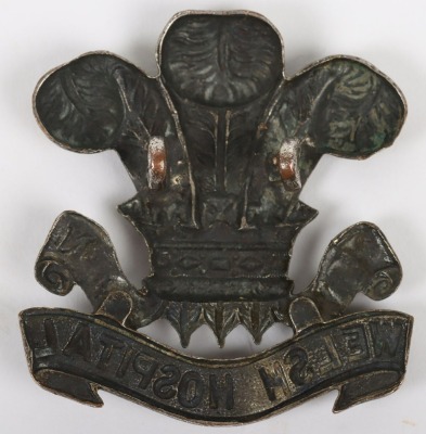 Rare Welsh Hospital Cap Badge - 2
