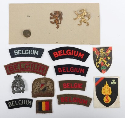WW2 Free Belgium Army, Troops in Exile Insignia Grouping.