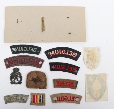 WW2 Free Belgium Army, Troops in Exile Insignia Grouping. - 4