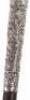 A 19th century silver (unmarked) colonial walking cane, decorated extensively with birds and palms - 15