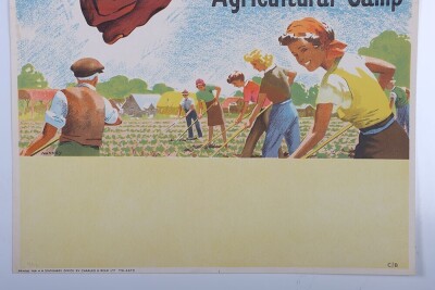 WW2 British 'Lend a Hand on the Land' Poster. - 3
