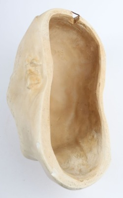 Napoleon Death Mask by Gebruder Micheli, Berlin, - 11