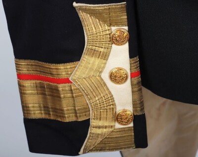 Victorian Royal Navy Inspector of Naval Hospitals Full Dress Tunic - 22