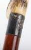An Edwardian walking stick with spirit level (lacking liquid) and scaled ruler, with horn handle - 13
