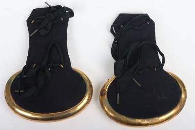 Hampshire Yeomanry Officers Epaulettes - 3