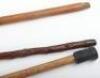 Two walking sticks and a walking cane - 2