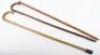 Two walking sticks and a walking cane - 3