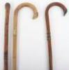 Two walking sticks and a walking cane - 4