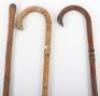 Two walking sticks and a walking cane - 5