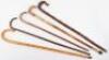 Five walking sticks - 2
