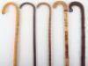 Five walking sticks - 4
