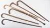 Six walking sticks - 2