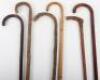 Six walking sticks - 3