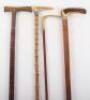 Two antler walking sticks, a horn handle stick and one other - 3