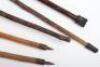 Five walking sticks - 2