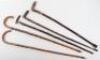 Five walking sticks - 3