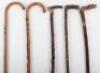 Five walking sticks - 4