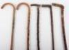 Five walking sticks - 5