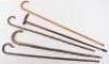 Five walking sticks - 2