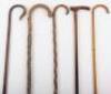 Five walking sticks - 3