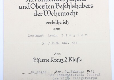 WW2 German Luftwaffe Award and Document Grouping to Leutnant Arnim Ziegler, Transport Pilot and Stalingrad Veteran - 2