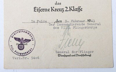 WW2 German Luftwaffe Award and Document Grouping to Leutnant Arnim Ziegler, Transport Pilot and Stalingrad Veteran - 3