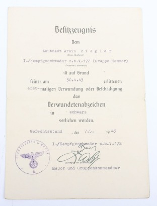 WW2 German Luftwaffe Award and Document Grouping to Leutnant Arnim Ziegler, Transport Pilot and Stalingrad Veteran