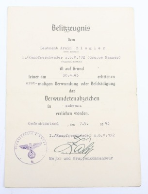 WW2 German Luftwaffe Award and Document Grouping to Leutnant Arnim Ziegler, Transport Pilot and Stalingrad Veteran