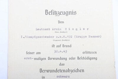 WW2 German Luftwaffe Award and Document Grouping to Leutnant Arnim Ziegler, Transport Pilot and Stalingrad Veteran - 7