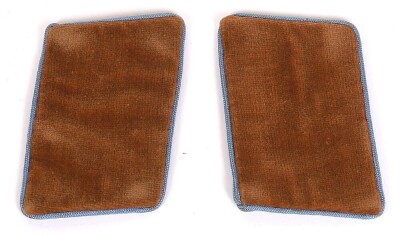 Third Reich NSDAP Ortsgruppe Politischer-Lieter -Anwarter Tunic Collar Patches