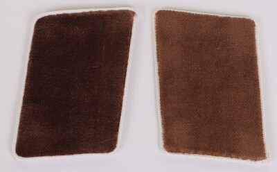 Third Reich NSDAP Kreisleitung Politischer-Lieter -Anwarter Tunic Collar Patches.
