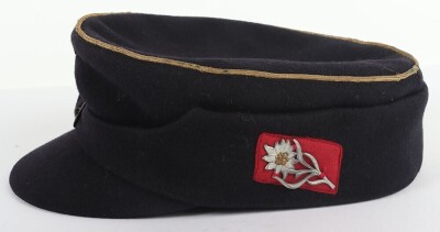 Third Reich SA (Sturmabteilung) Gruppe Ostland M-43 Field Cap - 8