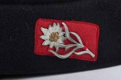 Third Reich SA (Sturmabteilung) Gruppe Ostland M-43 Field Cap - 9