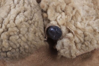 WW2 German Winter Sheep Skin Cap. - 6