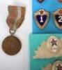 Large Collection of Soviet Russian, Polish Republic & Eastern Bloc Nations Medals and Badges - 5