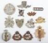Selection of Colonial / Overseas Badges - 2